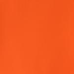 Orange Lake Light